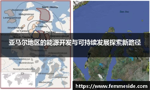 亚马尔地区的能源开发与可持续发展探索新路径